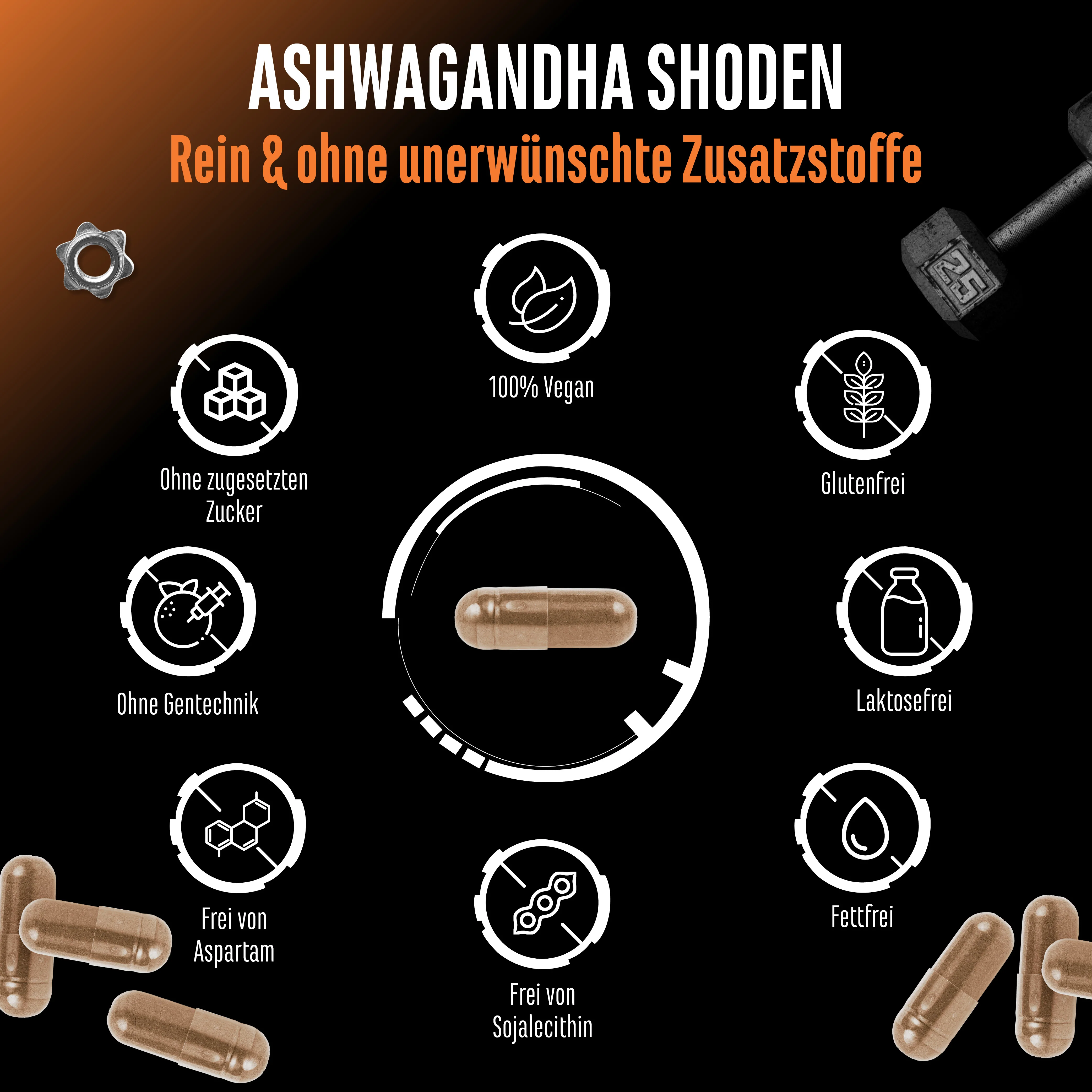 Ashwagandha Extrakt Shoden® - Image 4