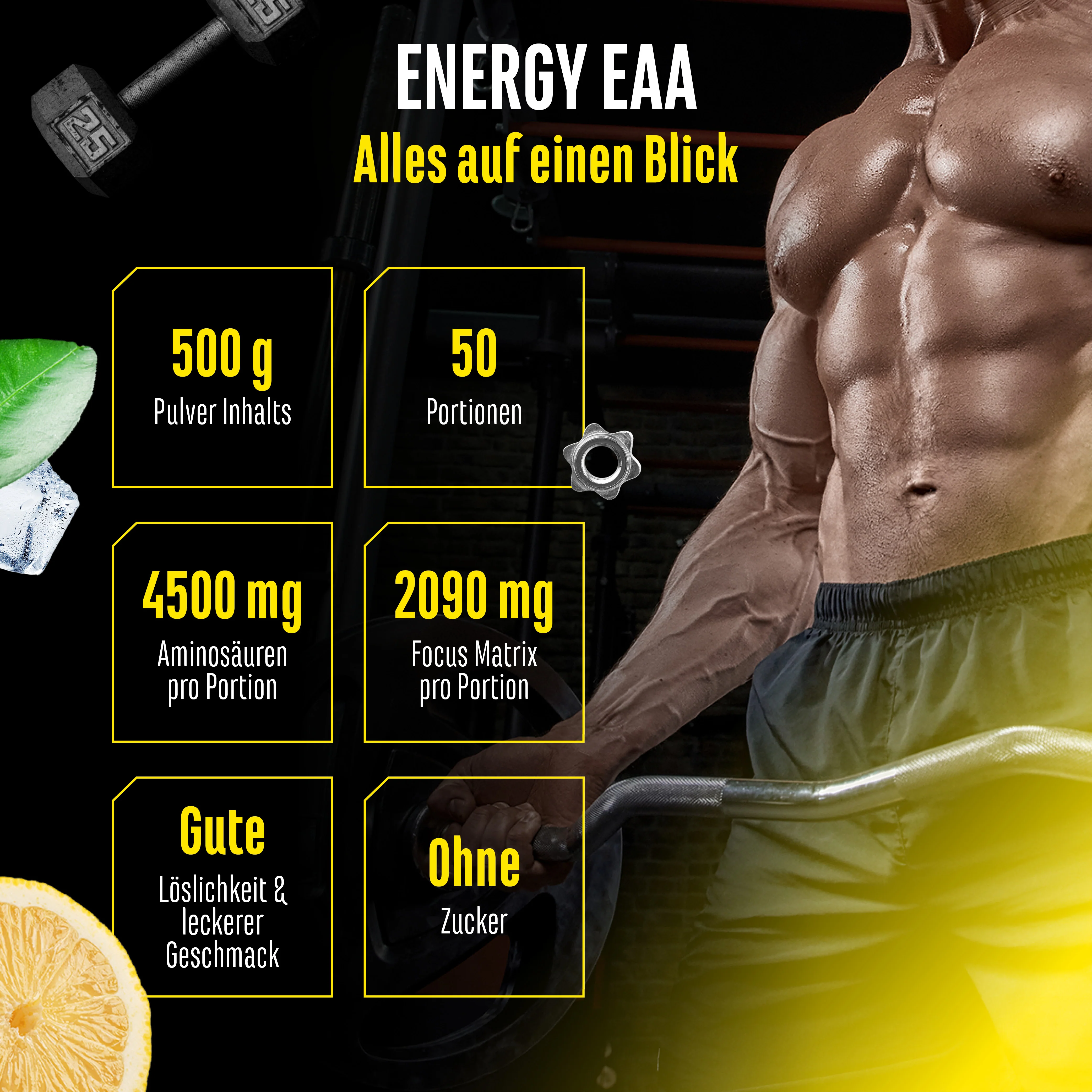 EAA Energy Mix - Image 10