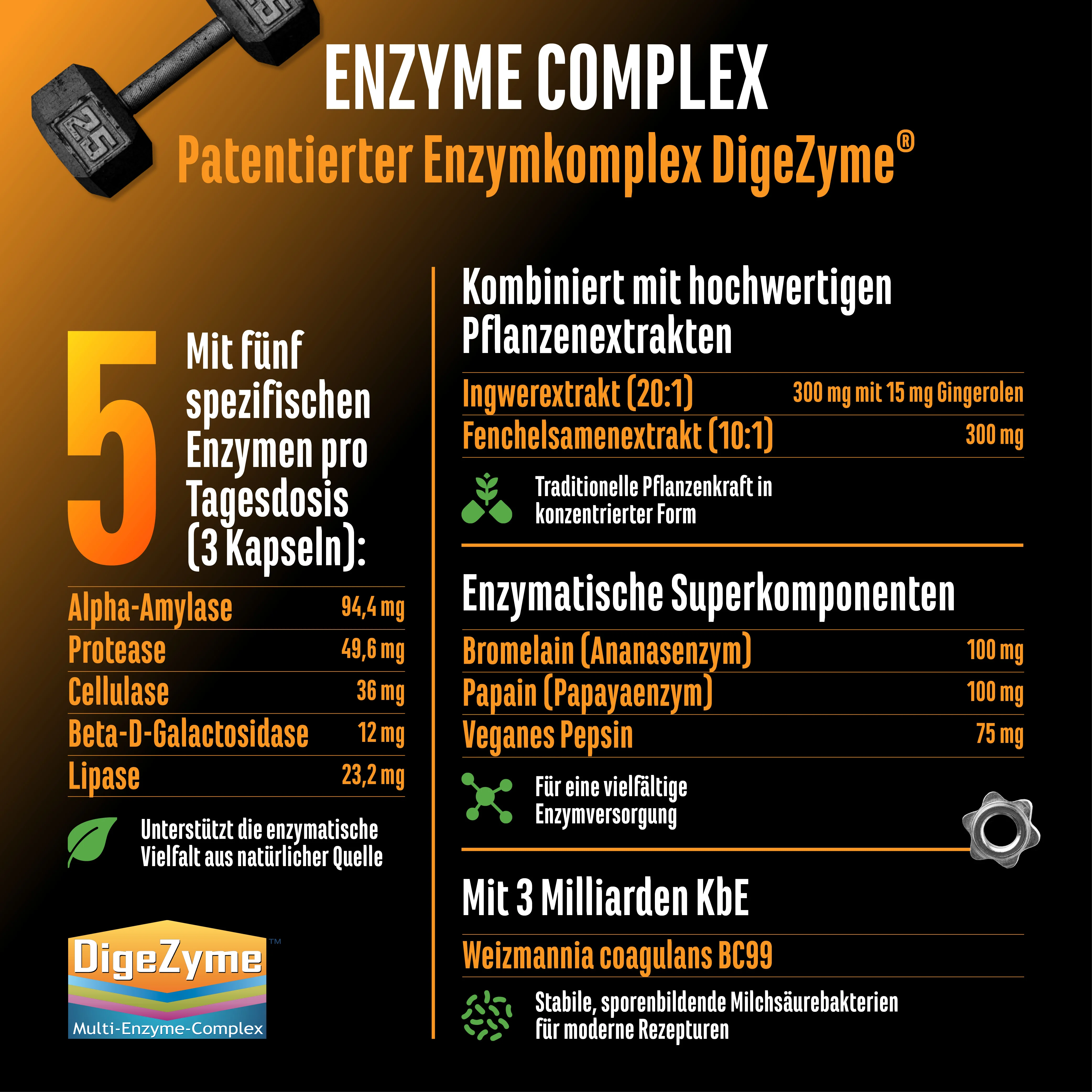Enzym Komplex - Image 4