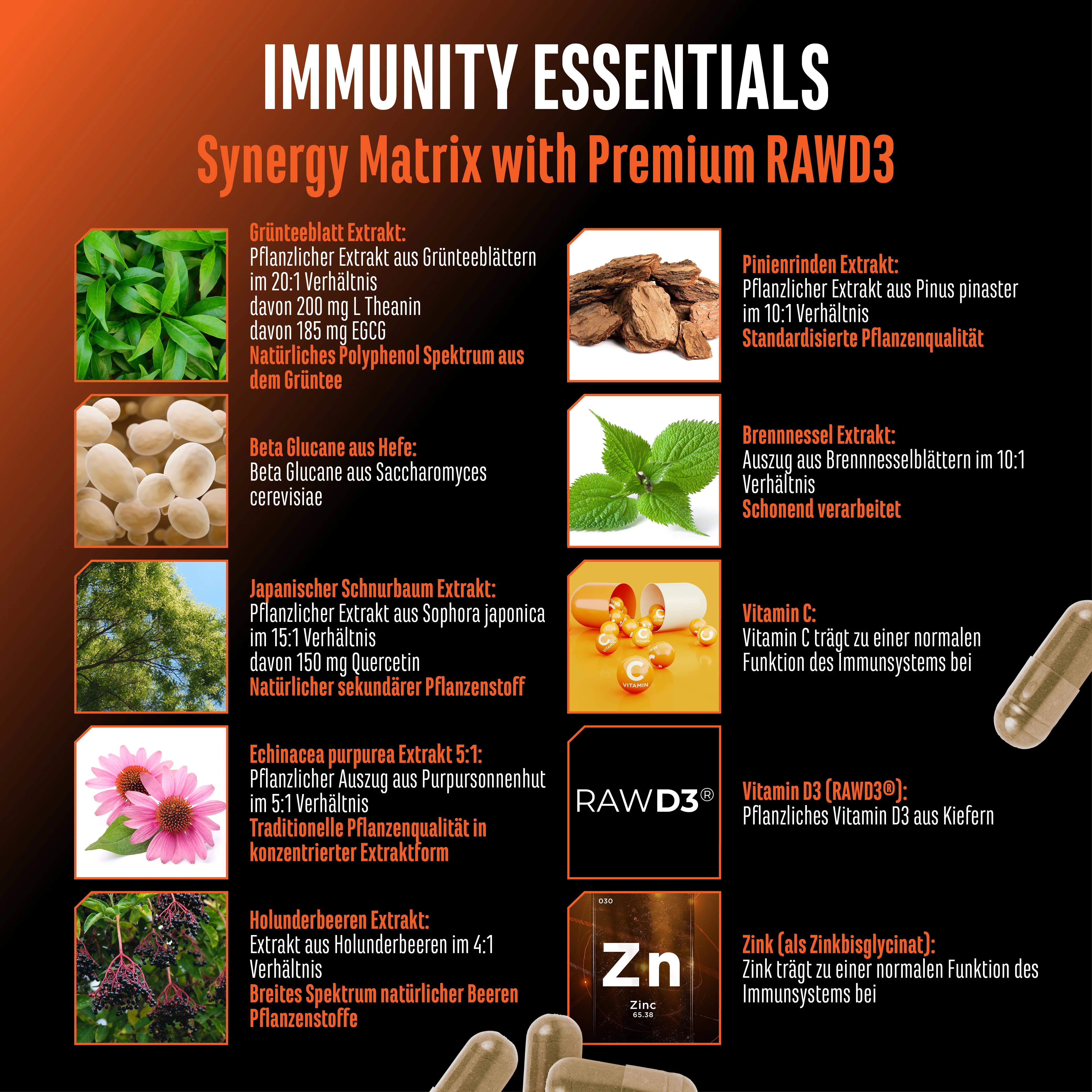 Immunity Essentials Komplex - Image 6