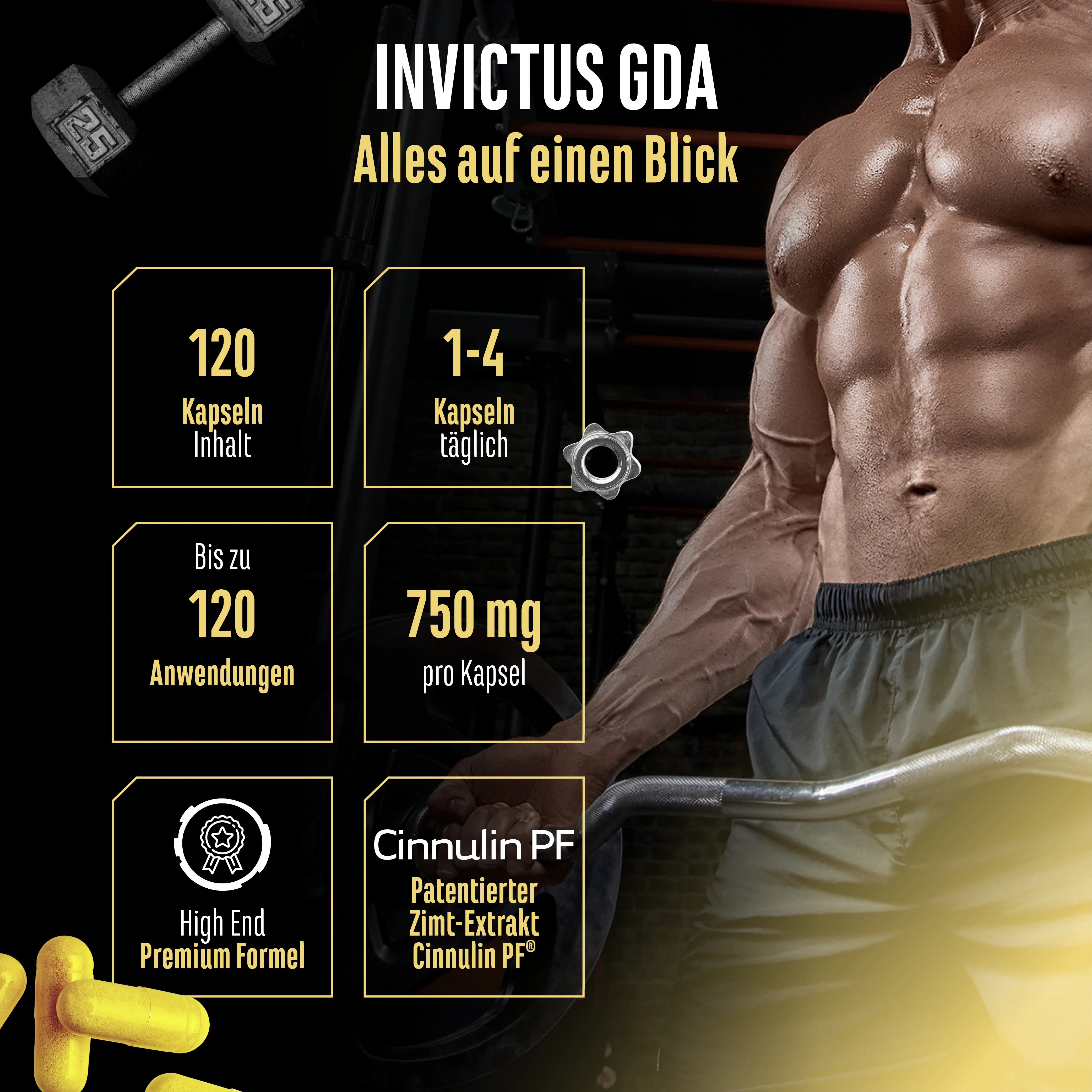 Invictus GDA Signature - Image 3