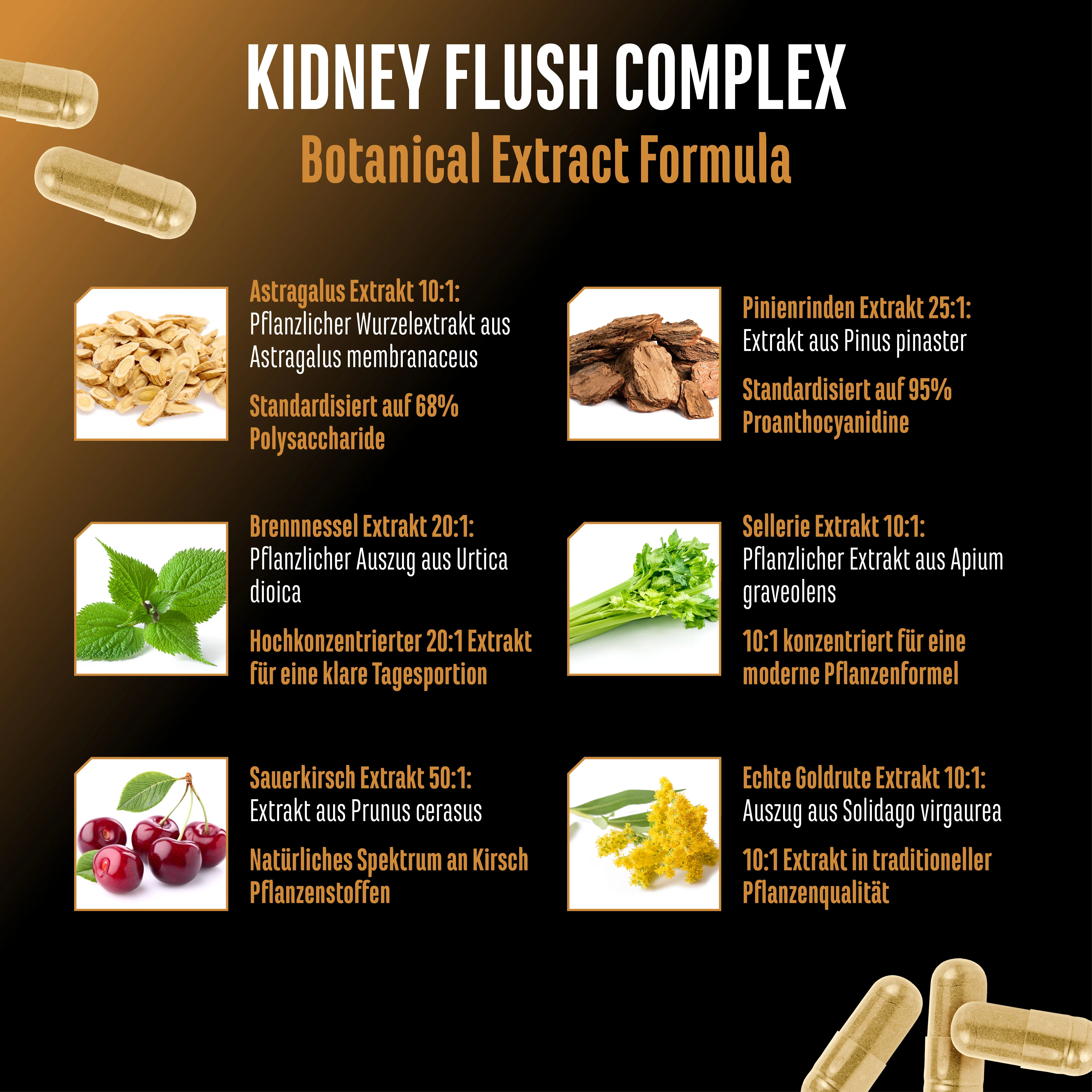 Kidney Essentials - Image 4