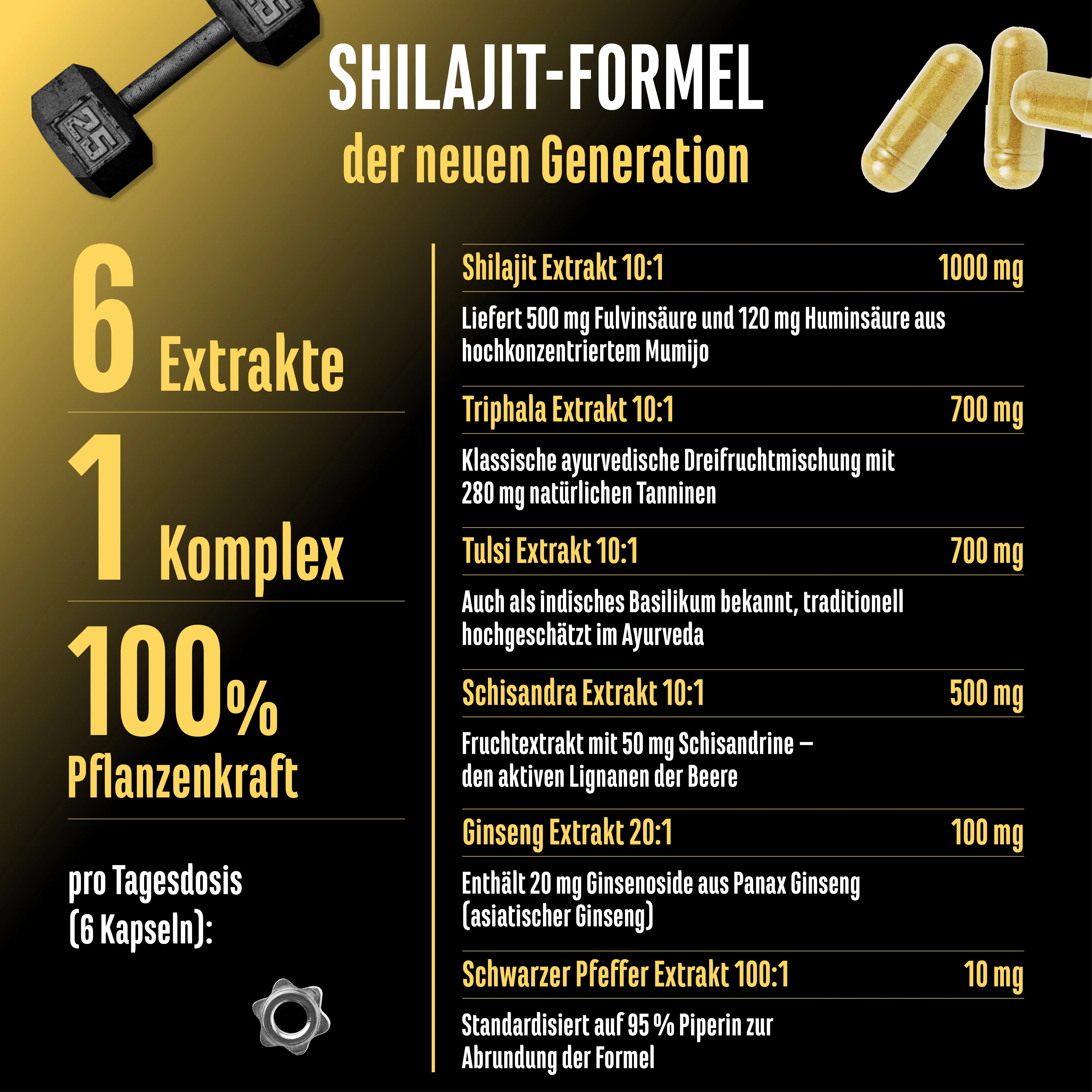 Shilajit Komplex - Image 4