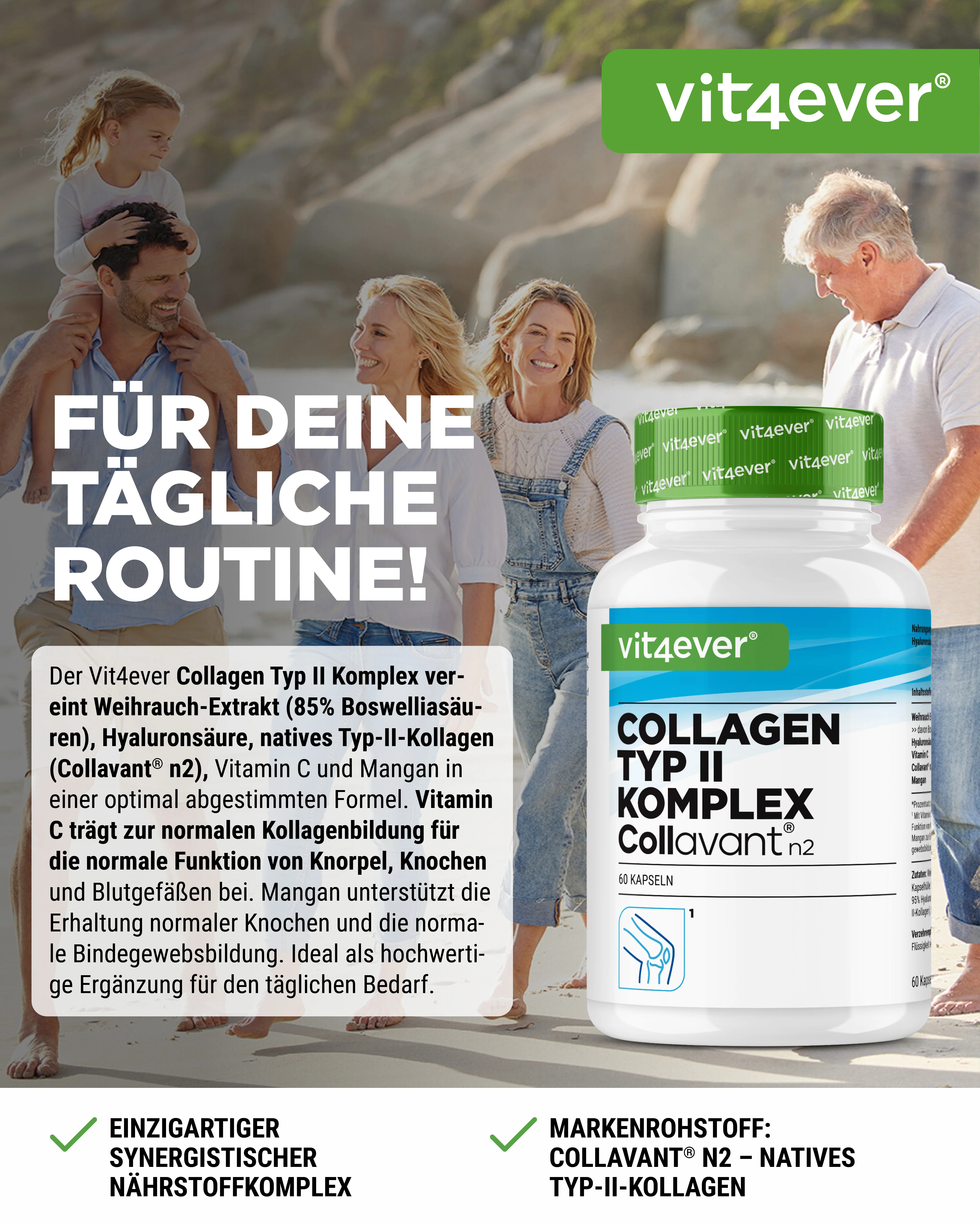 Kollagen Typ 2 Komplex - Image 2