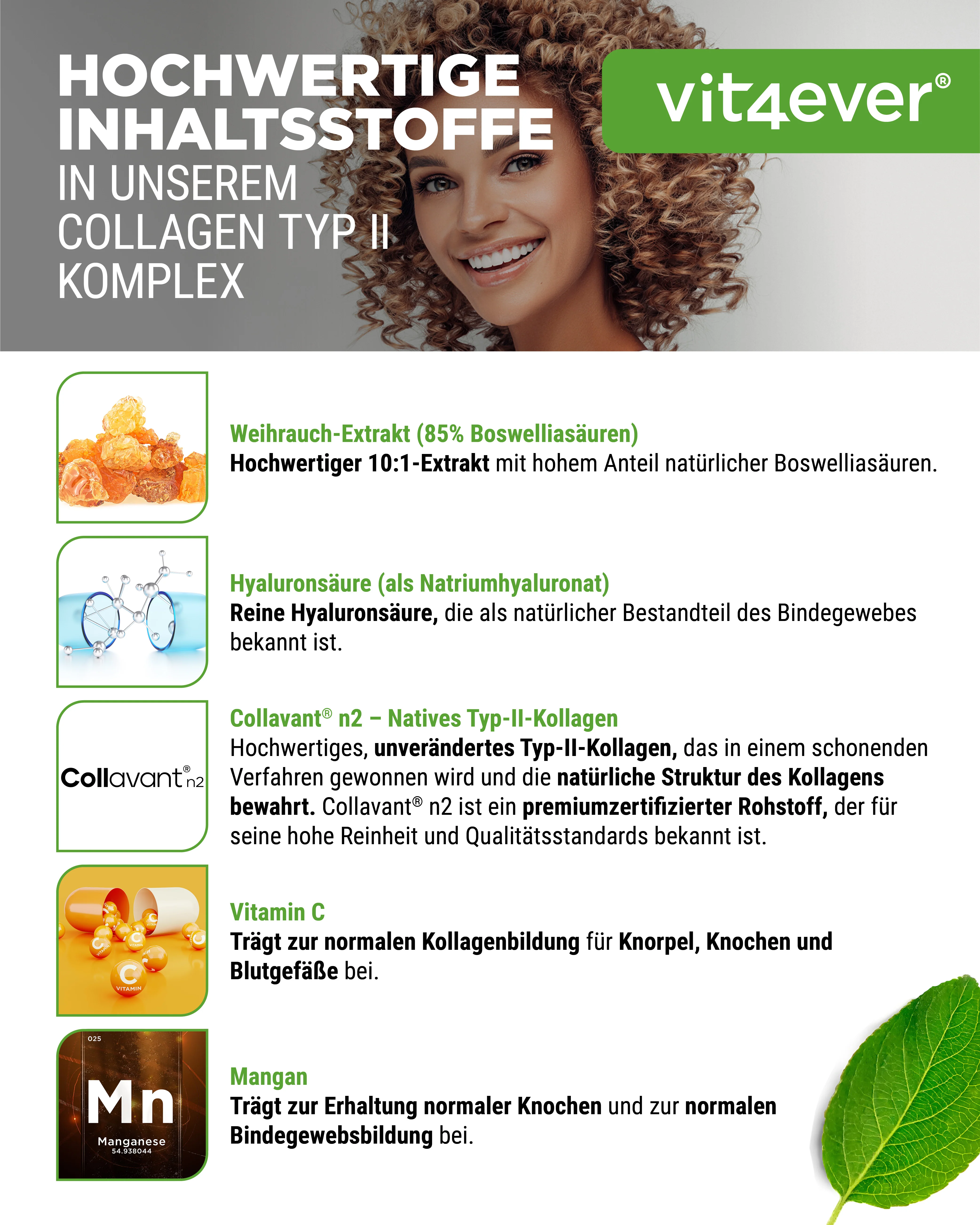 Kollagen Typ 2 Komplex - Image 3