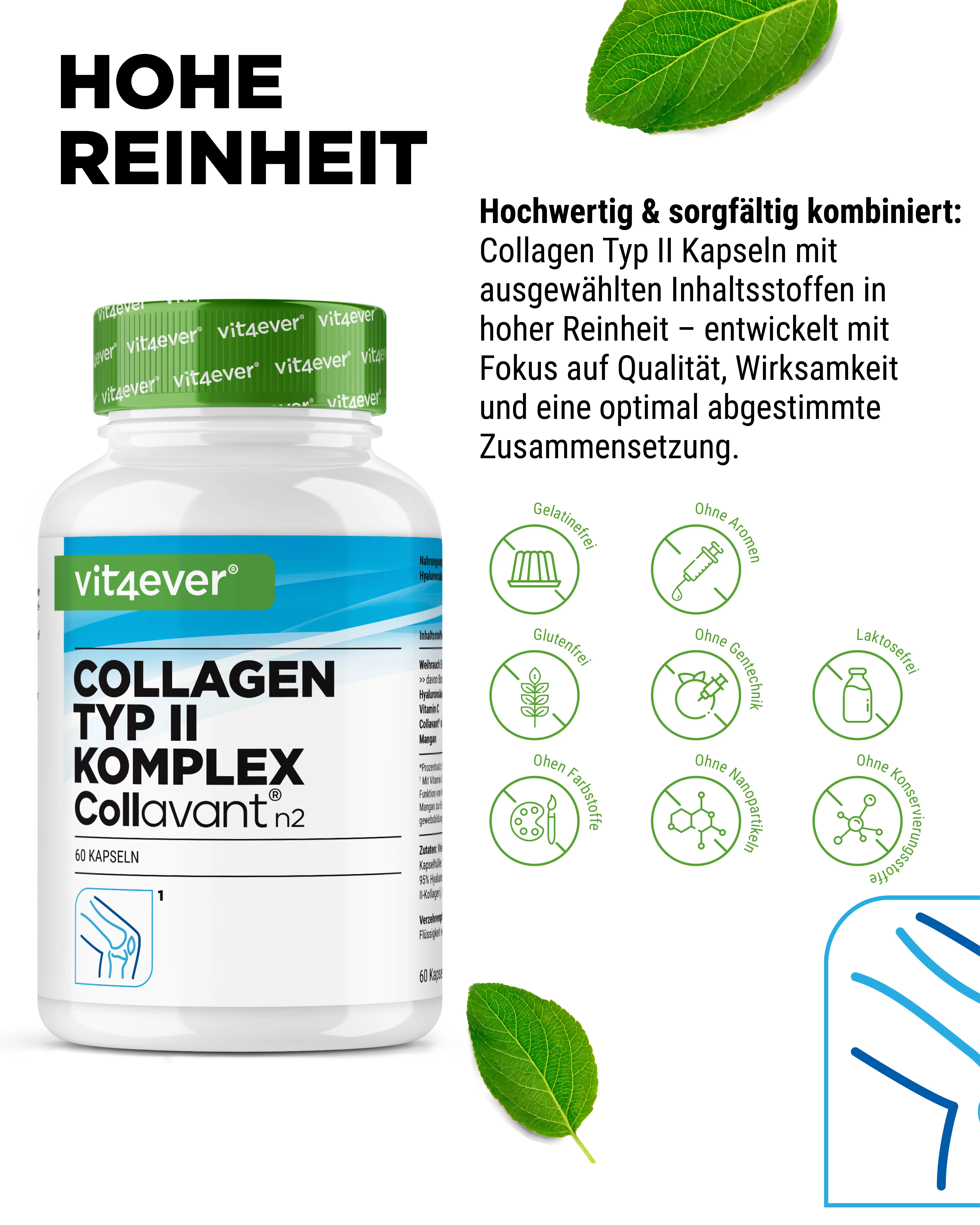 Kollagen Typ 2 Komplex - Image 4