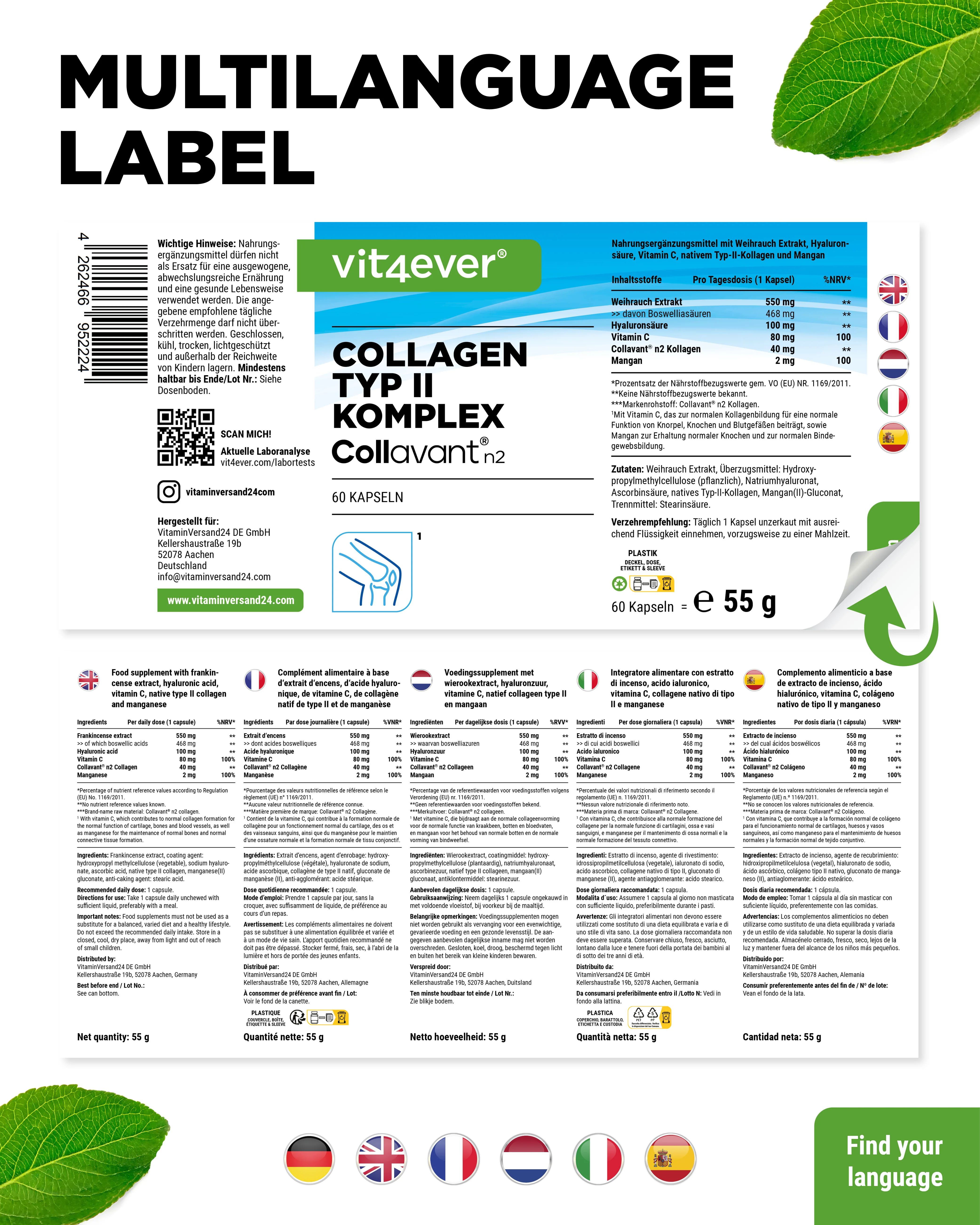 Kollagen Typ 2 Komplex - Image 7