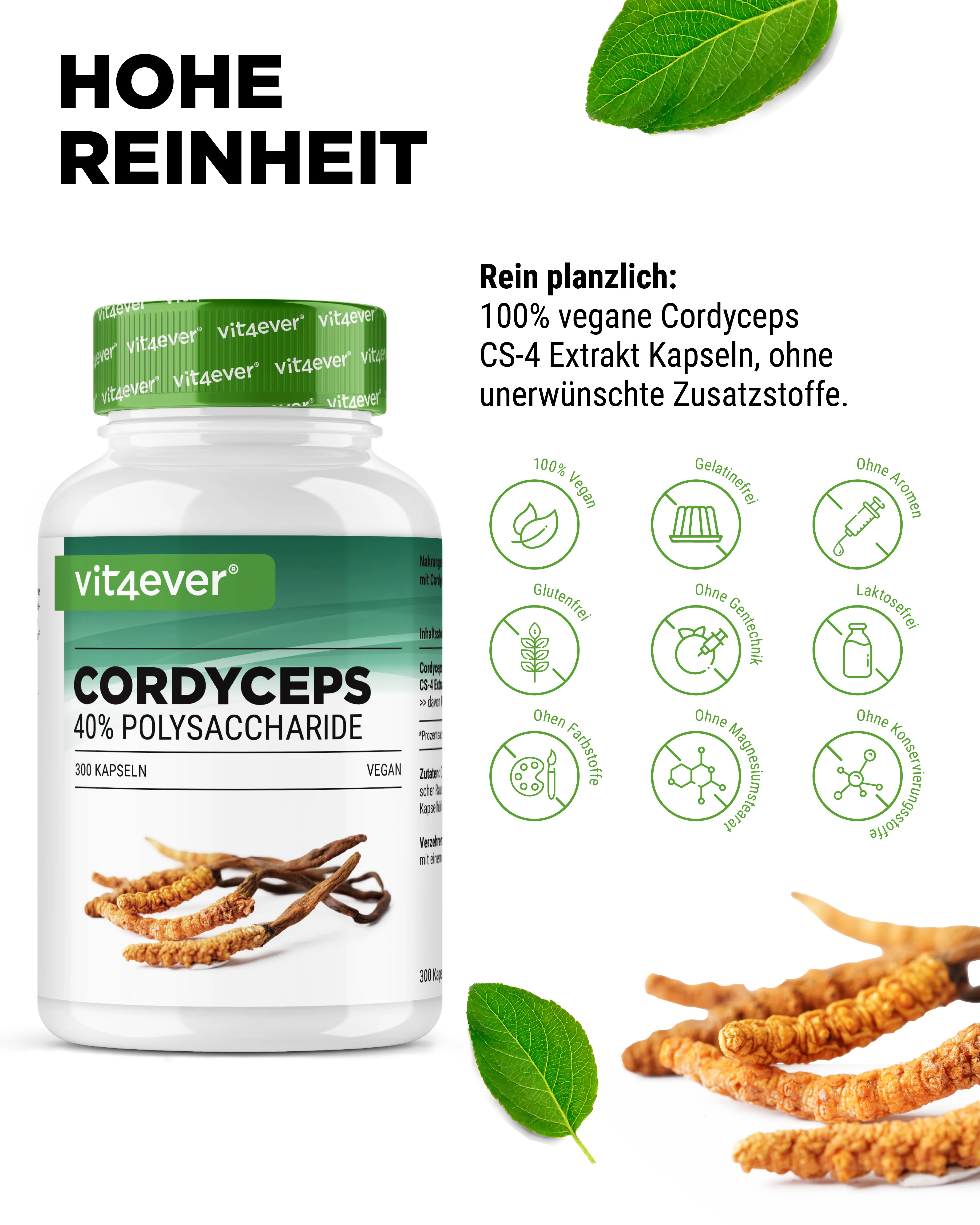 Cordyceps - CS-4 Extrakt - Image 3