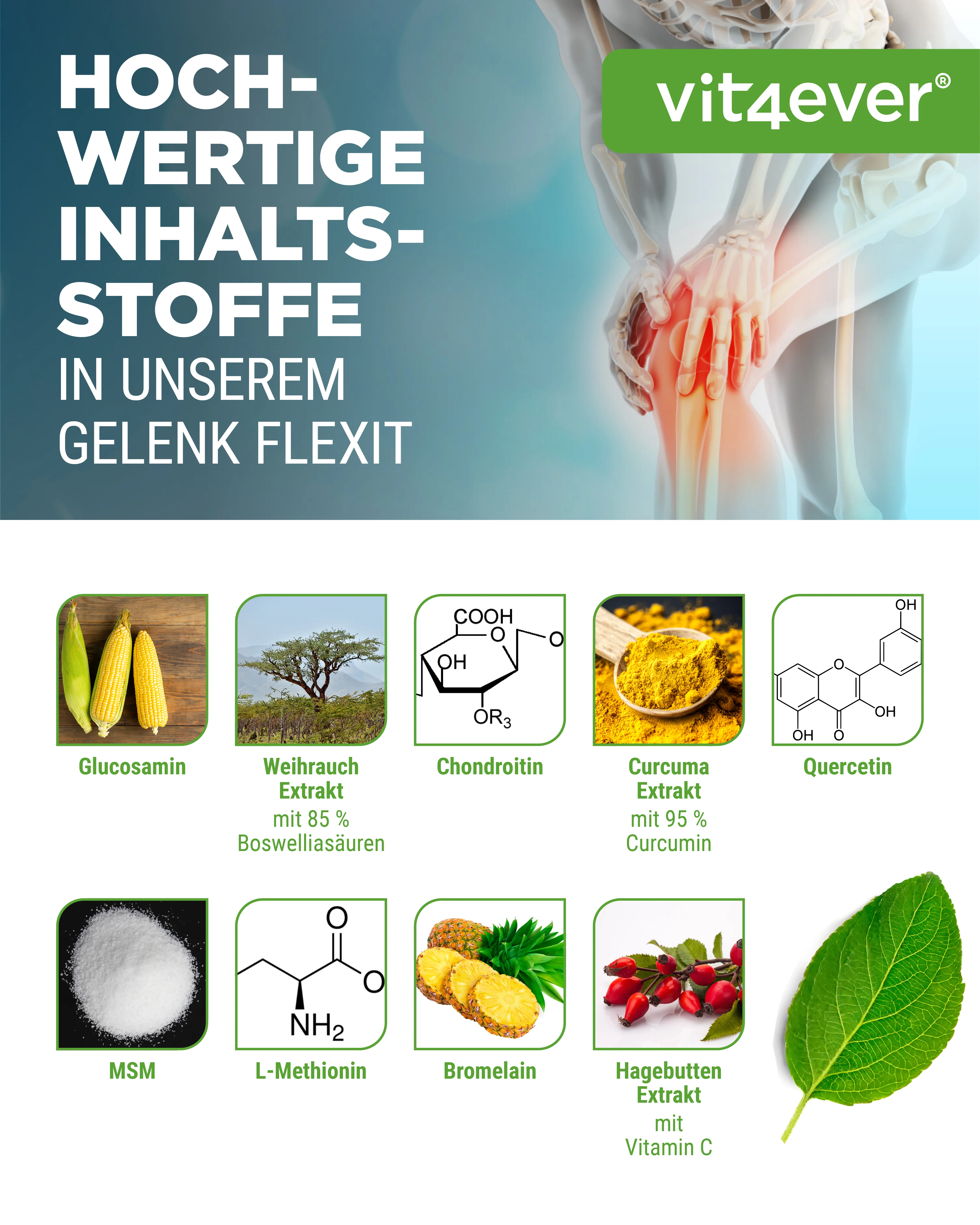 Gelenk Flexit - 9 Wirkstoffe - Image 3