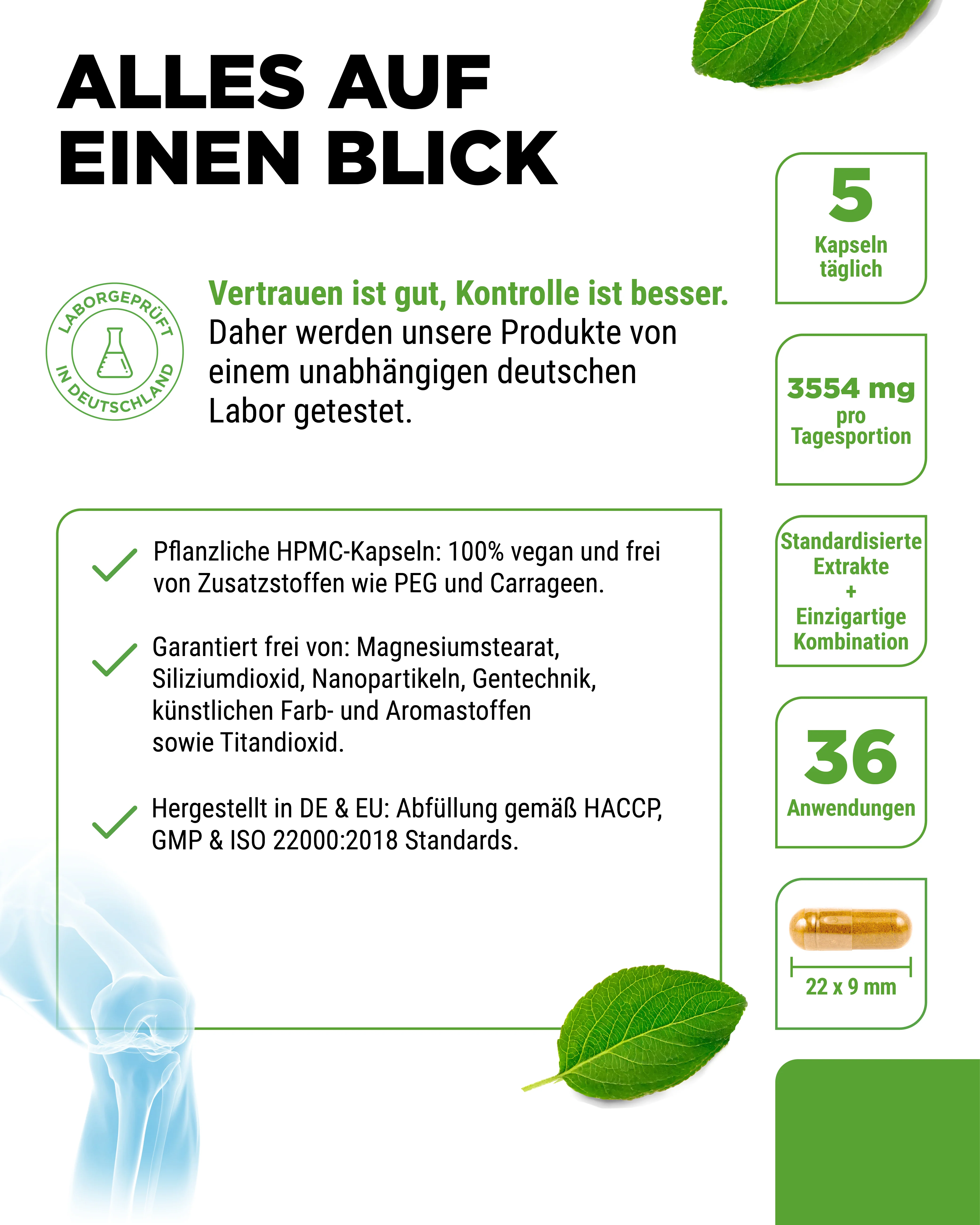 Gelenk Flexit - 9 Wirkstoffe - Image 5
