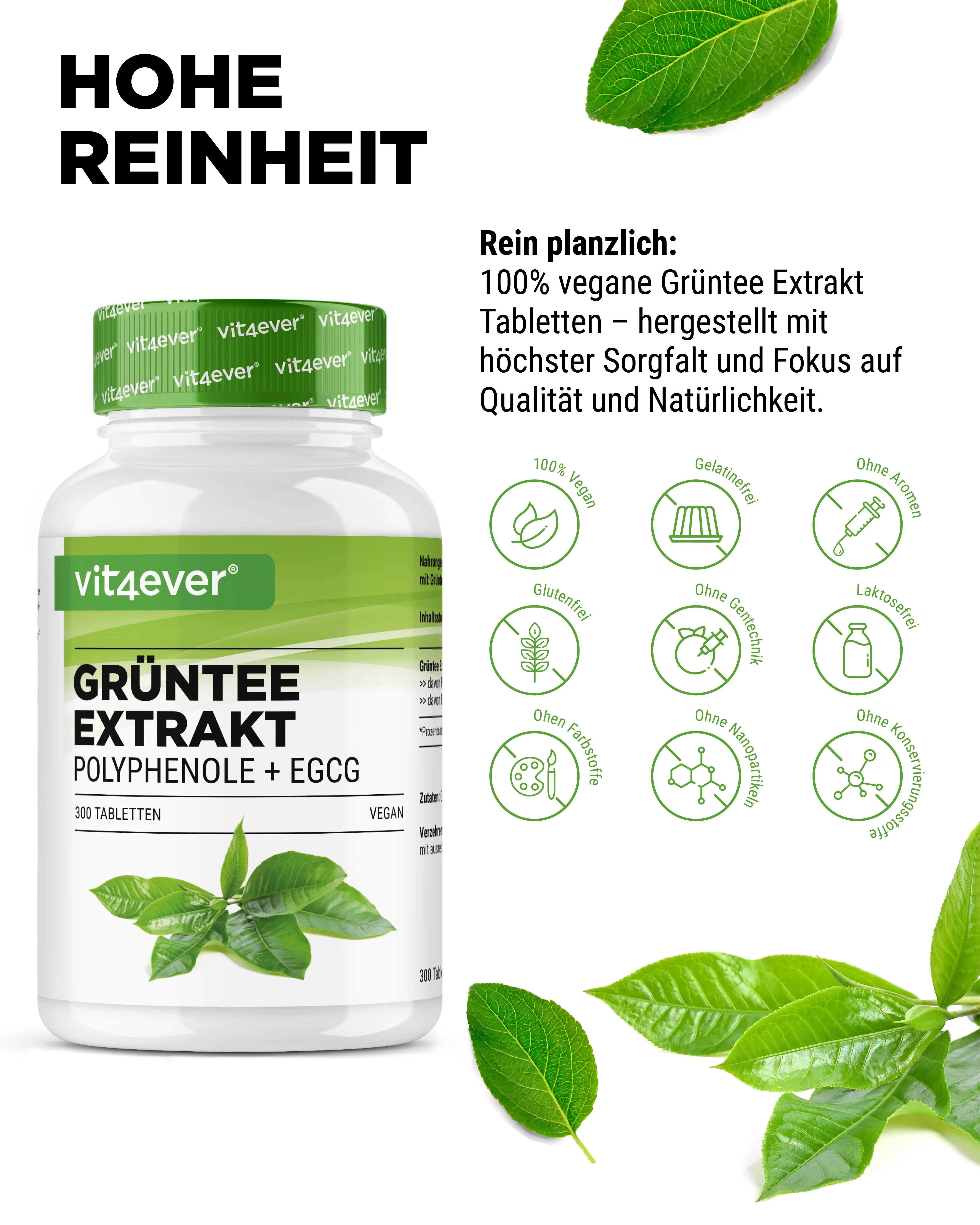 Grüntee Extrakt - EGCG - Image 3