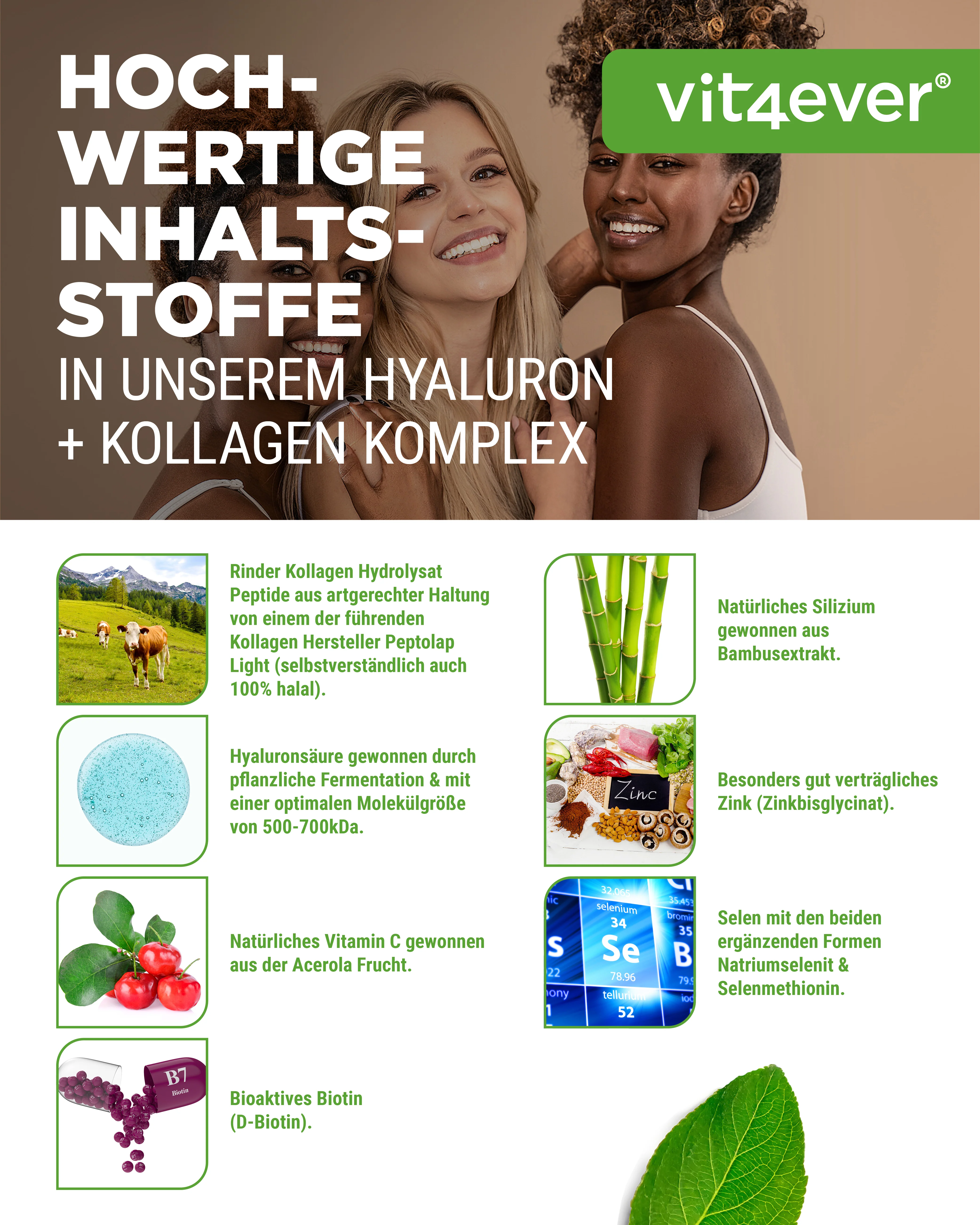 Hyaluronsäure Kollagen Komplex - Image 3