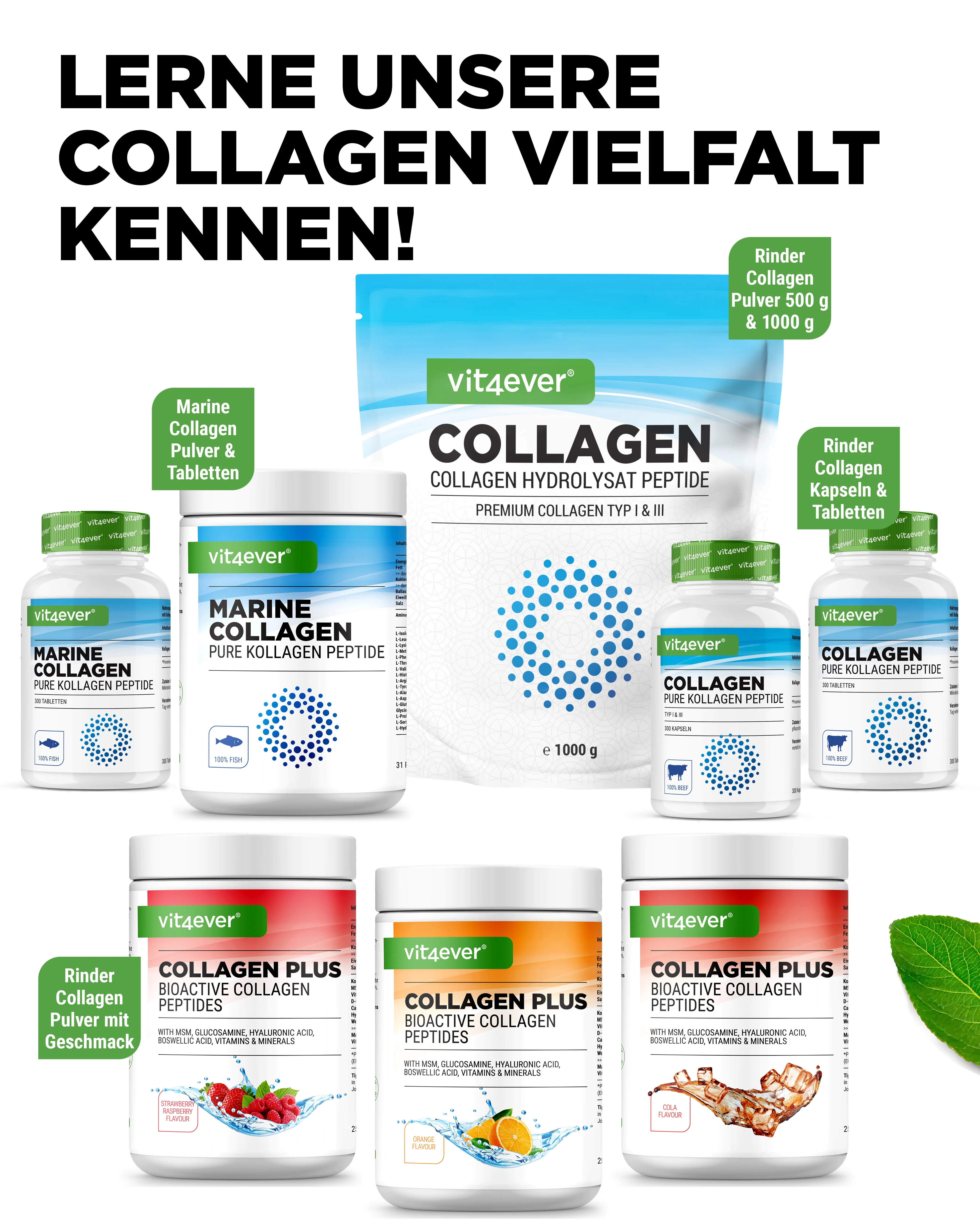 Kollagen Kapseln / Tabletten - Image 12