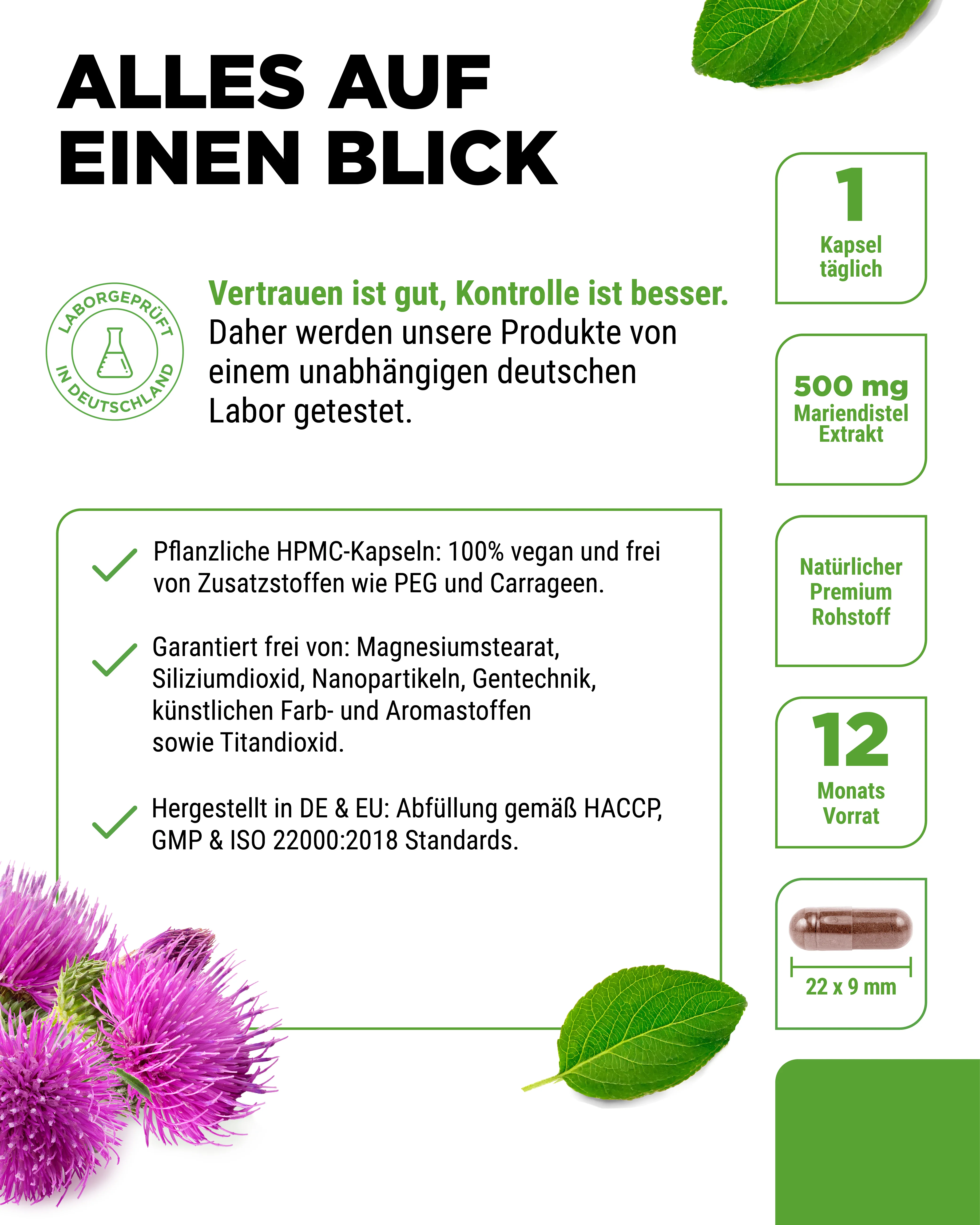 Mariendistel Extrakt 500 mg - Image 10