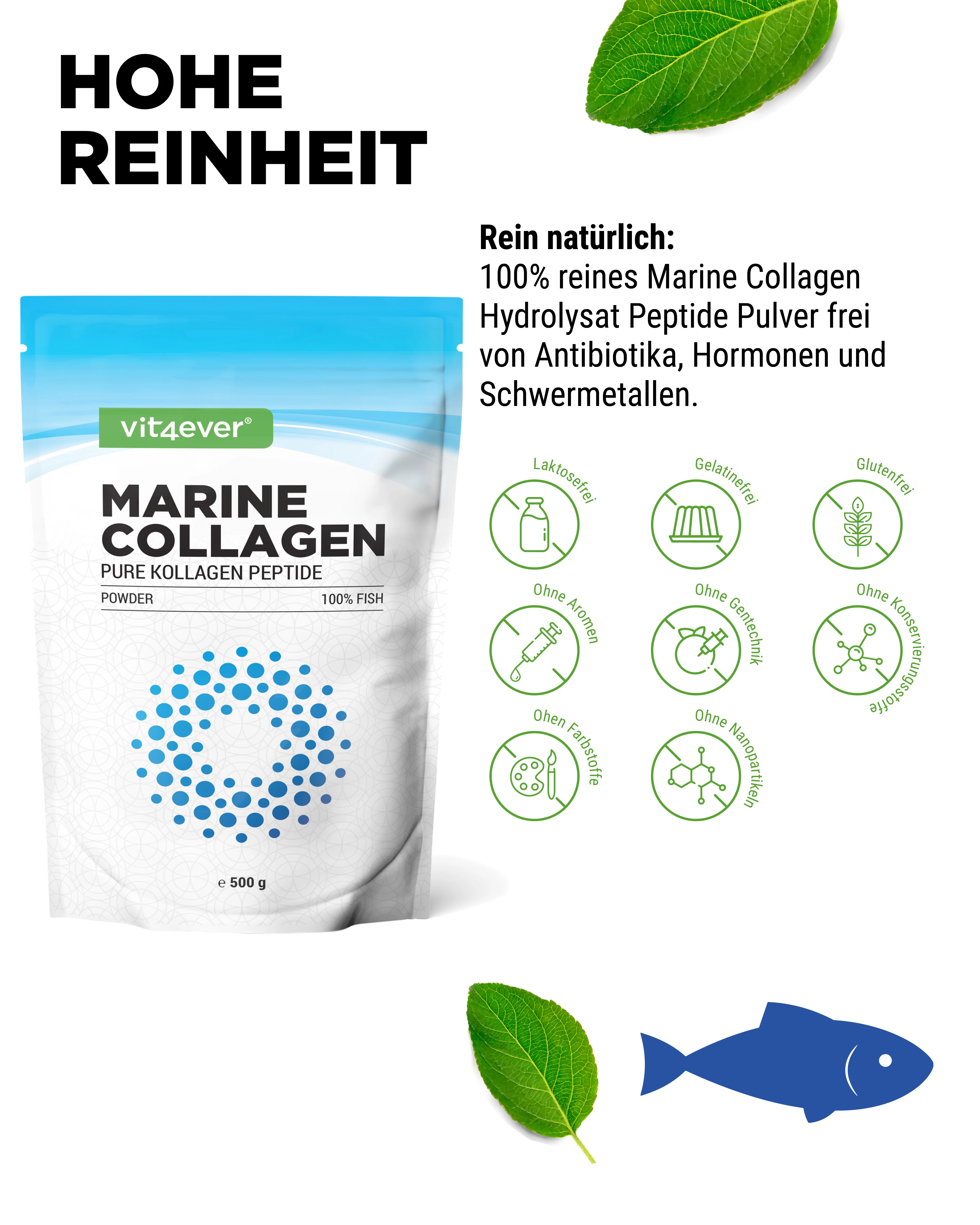 Marine Kollagen - Fischkollagen, 500 g - Image 4