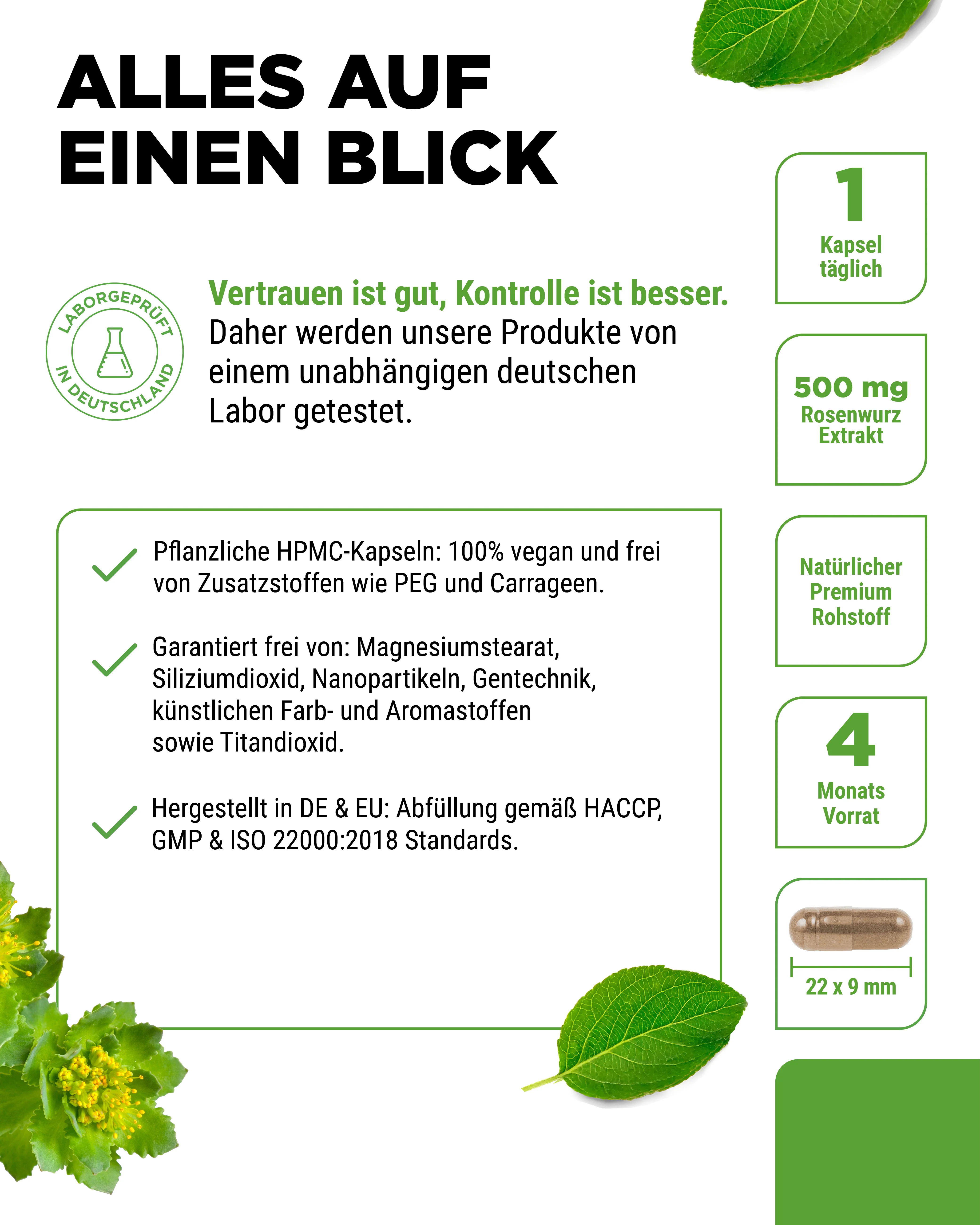 Rhodiola Rosea (Rosenwurz-Extrakt) - Image 4