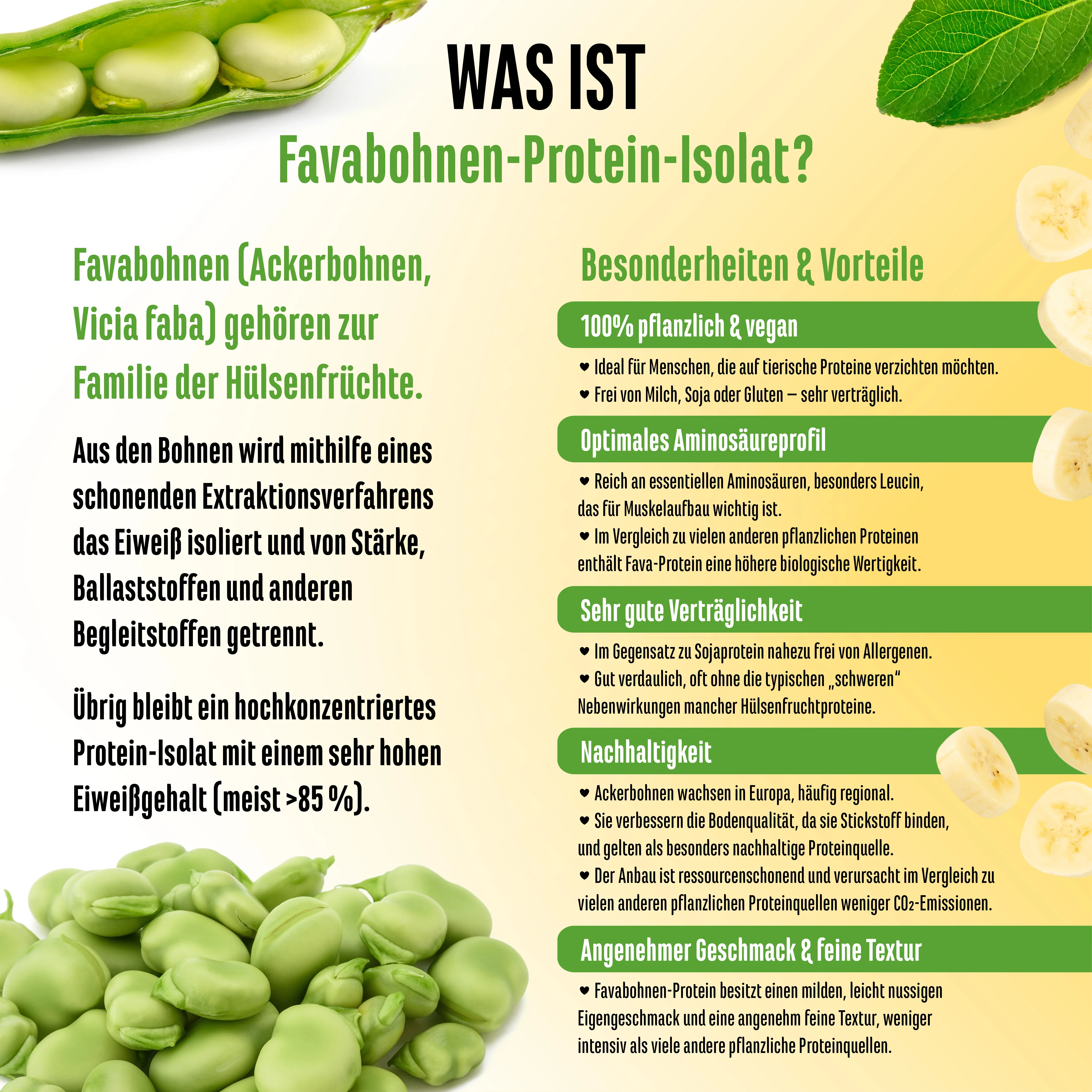 Yummy Vegan Protein - Image 13