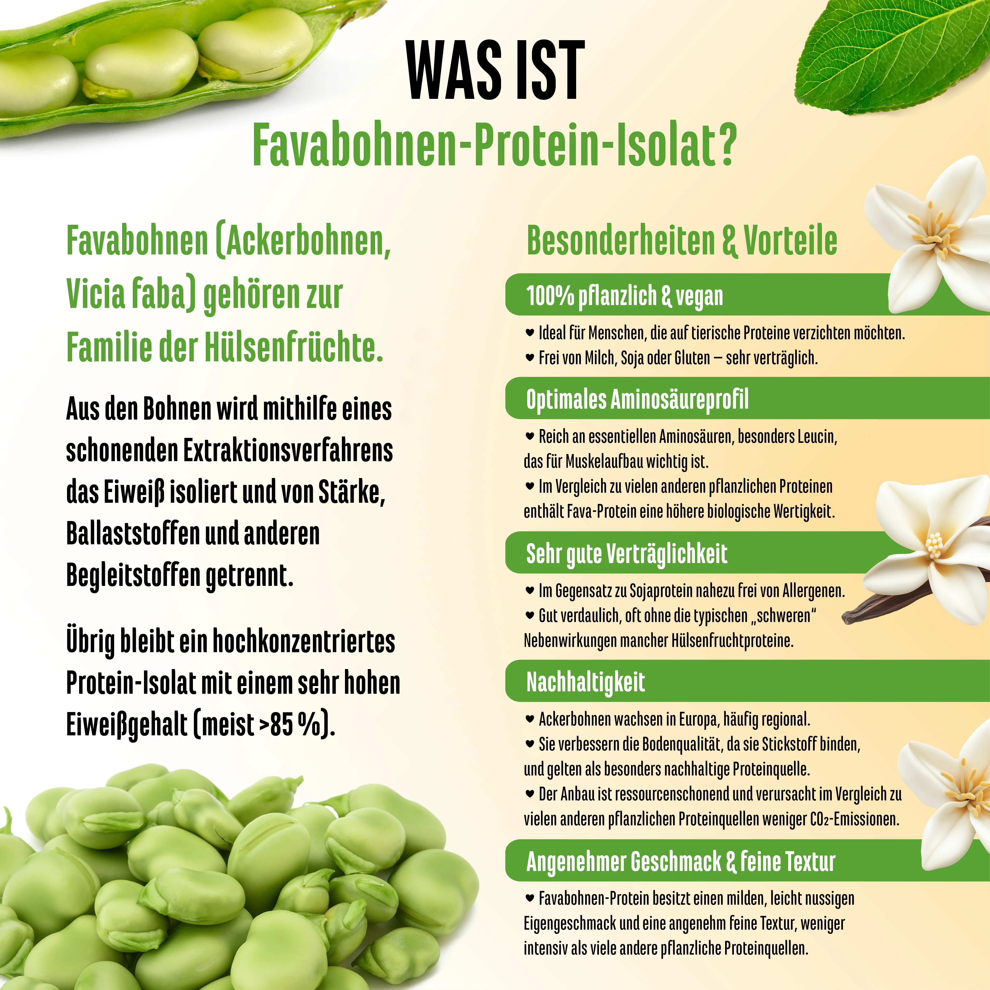 Yummy Vegan Protein - Image 62